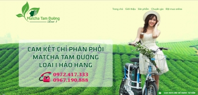 Thiết kế web bán chè matcha Tam Đường