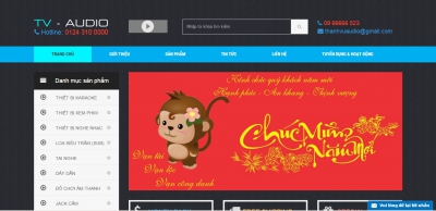 Thiết kế web cho công ty Thanh Vũ Audio