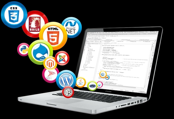 Doanh nghiệp nên xem trước khi thiết kế web