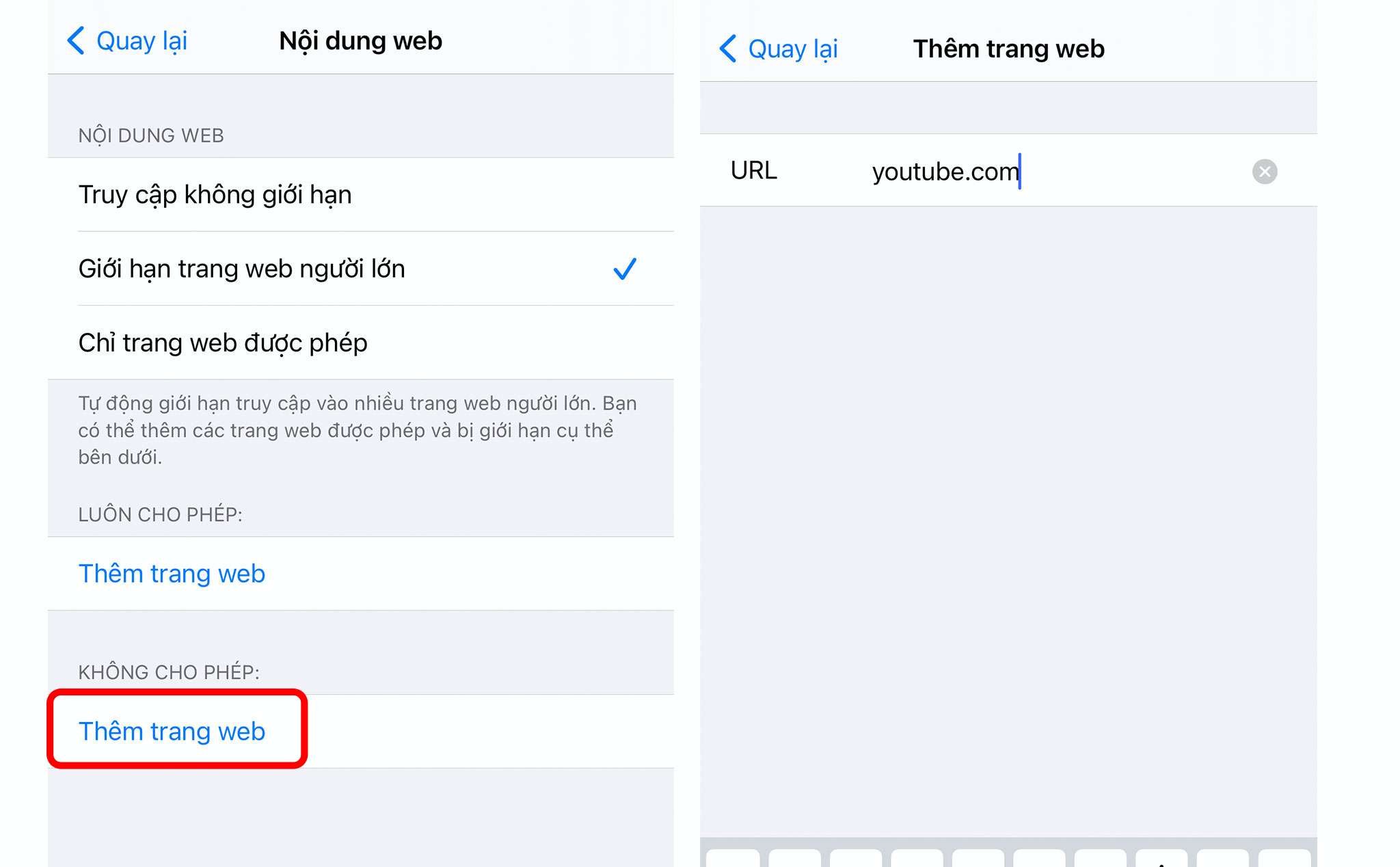 chan web tren iphone_3.jpg