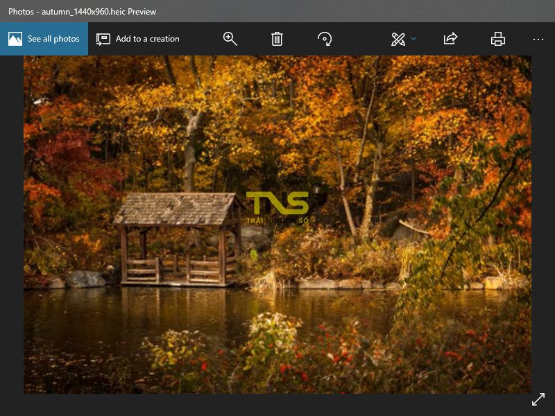Đã có cách mở file HEIC, HEVC trên Windows 10 không cần cài thêm app Đã có cách mở file HEIC, HEVC trên Windows 10 không cần cài thêm app
