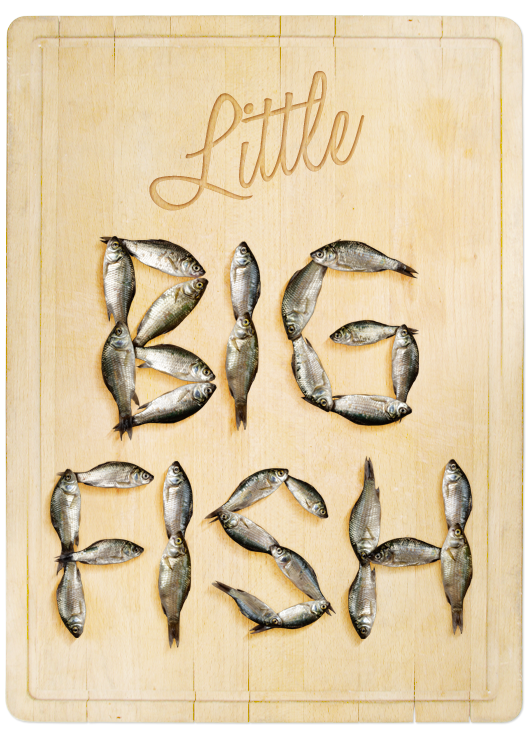 fish-font
