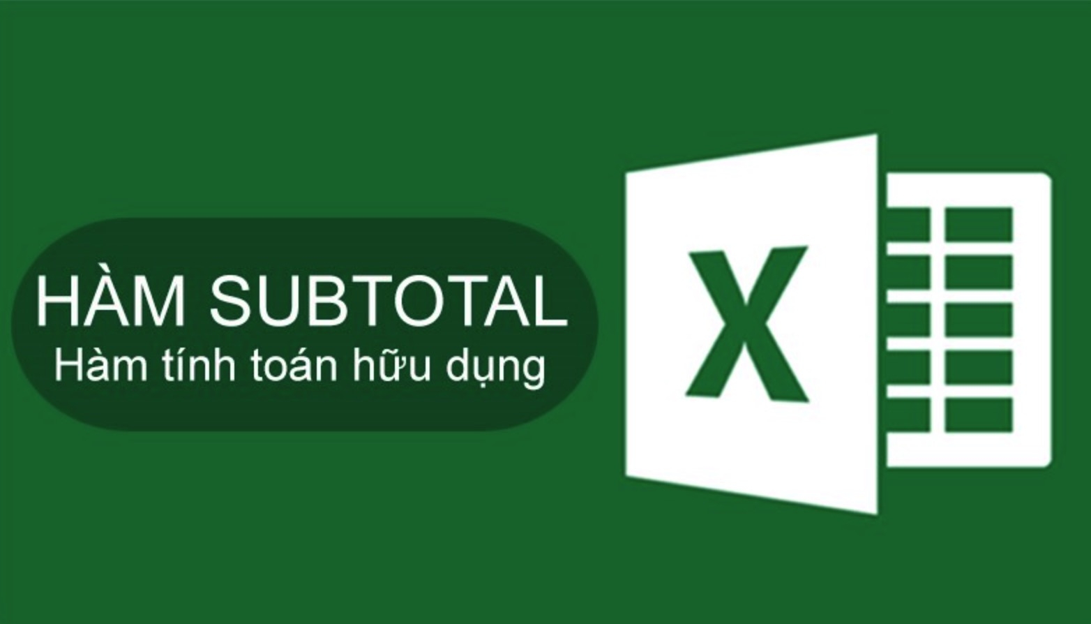 Cách sử dụng hàm Subtotal trong Excel