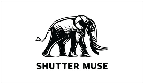 thiet-ke-logo-khac-go-2